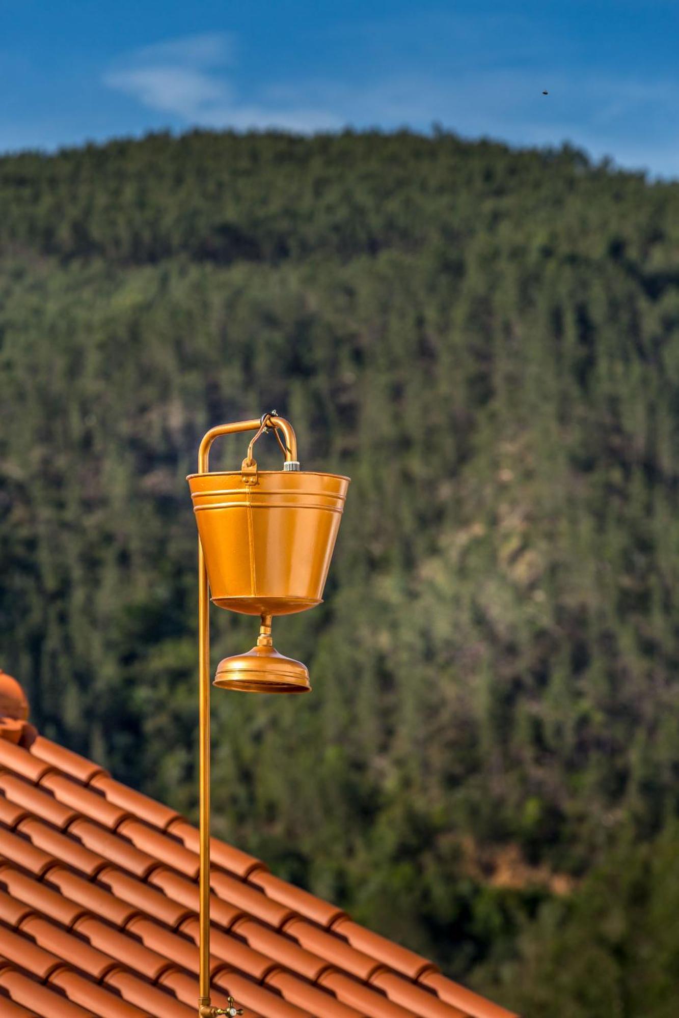 Reinado De Dom Dinis Farm stay *